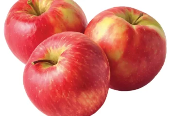 Apple - Honeycrisp Organic, 3#