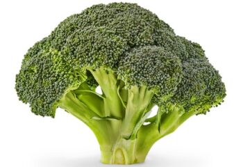 Prepped Broccoli, 12 oz
