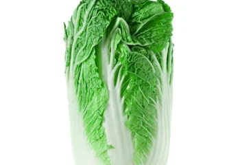 Cabbage - Napa, 1 ct