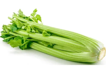 Celery - Organic, 1 Bunch
