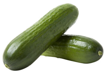 Cucumbers - Persian, 1 lb.
