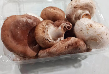 Mushroom - Mix, 1/2#