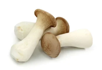 Mushroom - King Trumpets, 1/2#