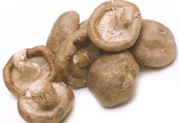 Mushroom - Shiitake,1/2#