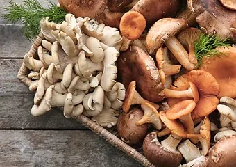 Mushroom Subscription