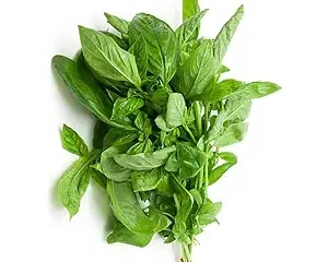 Herb - Basil, 1 bunch
