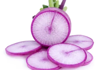 Daikon, Organic Purple, 1#