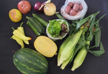 Community Supported Ag (CSA) - Every other Week Veggie Share