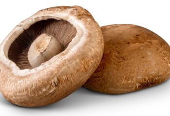 Mushroom - Portabella, 1#