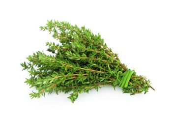 Herb - Thyme, .75 oz