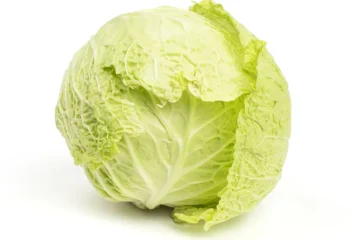 Cabbage - Savoy - Organic, 1ct