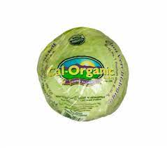 Cabbage - Organic Green, 1 ct
