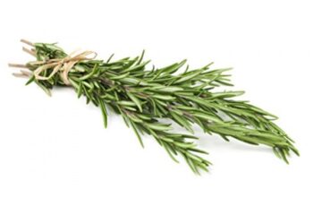 Herb - Rosemary, .75 oz
