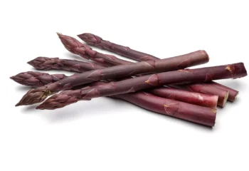 Asparagus - Purple 1#